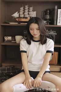 南秘书辞职后，总裁哭着求复合小说全集