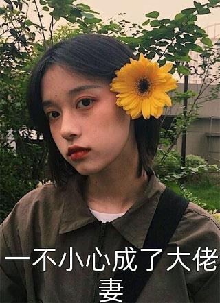 全集小说天作之合