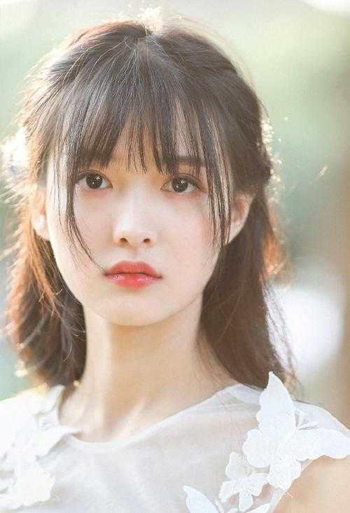 契约兄妹全集
