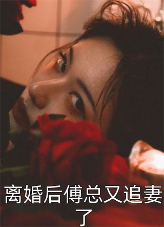 精品小说执掌风云