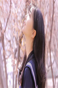 全章节撞见天子后，她被宠爆后宫