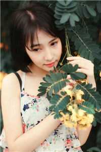 病弱团宠死心后，全员火葬场了精品小说