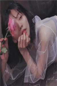完整版军婚甜蜜蜜：极品炮灰她在七零当娇娇