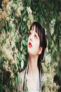 完整文本阅读离婚后，夫人她身价千亿！