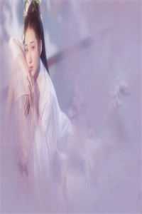 都离婚了，总裁才想着追妻？精选篇章阅读