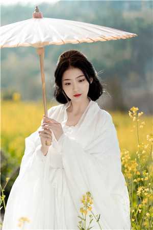 养成系游戏:女帝们请自重!畅读佳作推荐