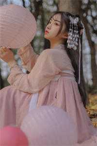 大明：整顿朝纲，从抄家贼臣开始全集小说阅读