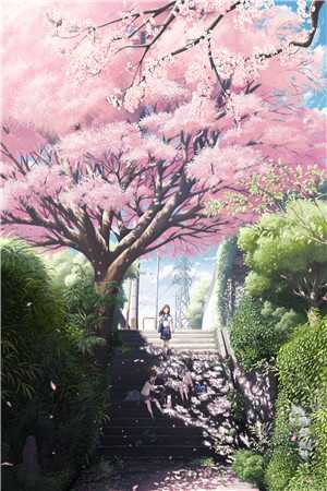 溺宠神医狂后完整篇章