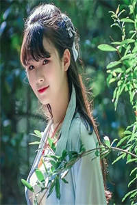 畅销书目医妃读心术