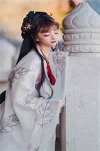 追回夫人后，疯批他宠妻上瘾精品小说
