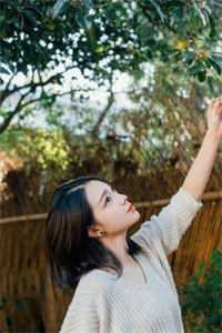 和离后，夫人她千娇百媚入主侯府全集小说