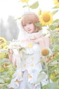 探花郎，悔婚后你可后悔？精品推介