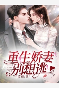 高质量小说穿越：我在港岛世界除暴安良