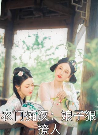 长篇小说阅读穿成朱元璋最宠爱的孙子，躺赢真爽