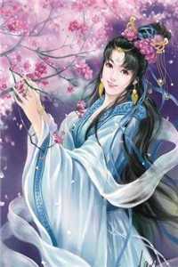 医婿超凡