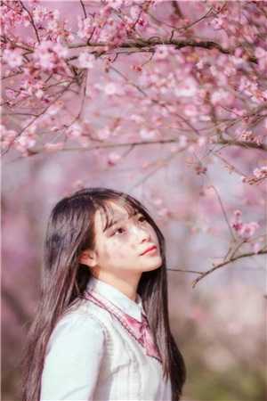重生后勾引皇帝？夫人她红杏出墙啦全章节阅读