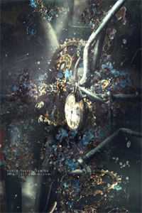 热门作品锦绣良缘：傲娇王爷刁蛮妻