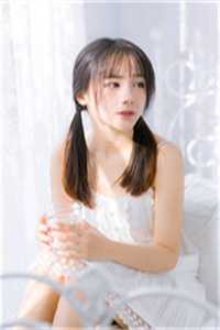 风起官途畅销书目