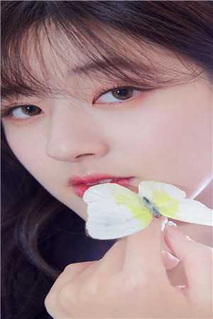 成为顶流后，当红天后追着我领证全本小说阅读