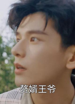 官途之一路无敌精品篇