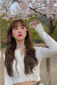 江湖儿女全集阅读