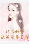 傻子神医：未婚妻她不离不弃全章节