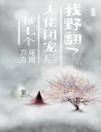 敛财人生小说全文