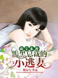 长篇小说阅读一世神医