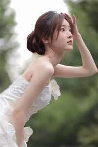 贵婿全集小说