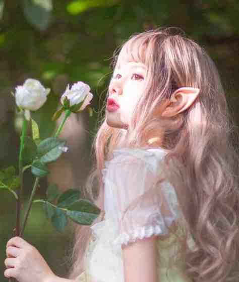 官场：一个小人物的野望全文完结