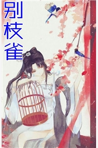 宋惜惜战北望易昉是什么小说