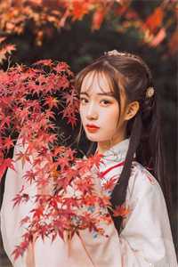 将门枭虎精品选集