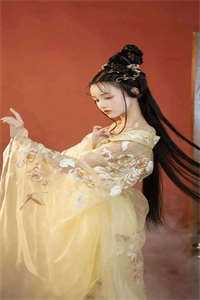 姐姐是京城第一美人在线