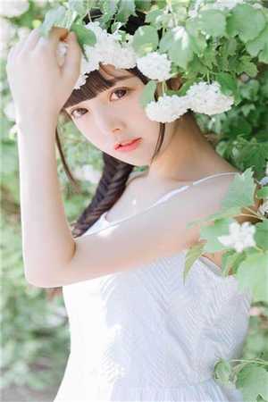 完整版免费在线阅读陈继来赵美媛怎么办！四大校花上门求负责