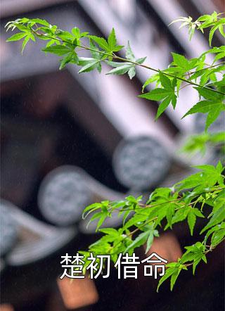 傻子神医：未婚妻她不离不弃楚元宋南伊前文+后续