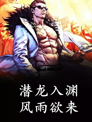 女总裁的无敌保镖快手