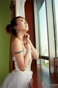 表白校花被拒后，我成了军火大商结局+番外