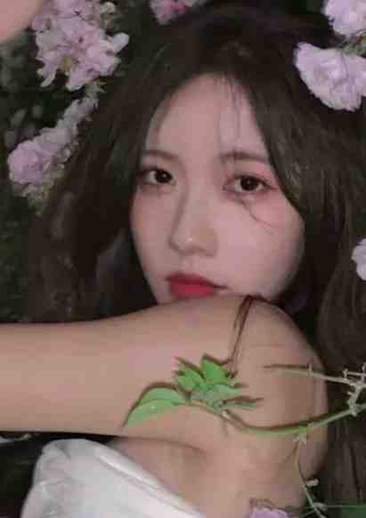 上世被绿，今世她要手打白莲试读