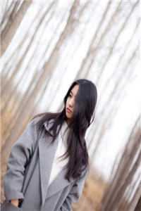 林傲雪叶枫首席龙婿小说全文免费阅读