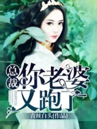 丝路再无佳人，余生为她供养小说全文免费阅读