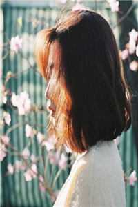 农门悍妻：首辅大人苏又撩小说全文免费阅读
