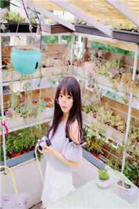 花陌离秦慎言梦里寻她千百度小说