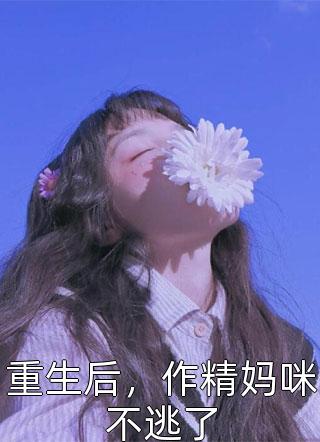 官途小说