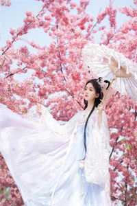 人生模拟器：我被老婆逼成世间极境后续+结局