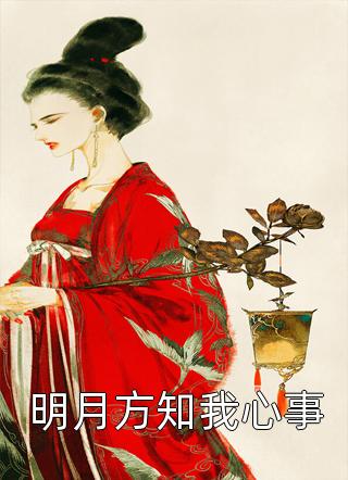 真少爷才是顶级黑客完本