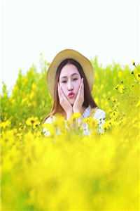 西游坦白局优质全文阅读