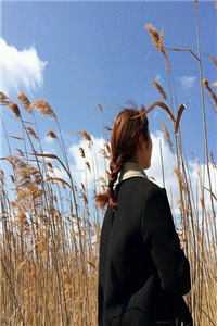 离婚后,冷傲妻子悔疯了下载