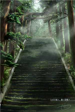 总裁他病的不轻结局+番外+完结