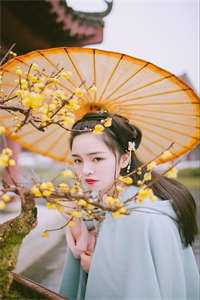 八零错娶，爱恨已殇笔趣阁