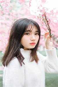 穿越三国，貂蝉我先收了完结+番外
